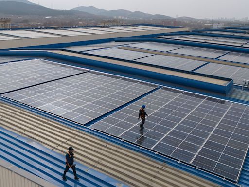 China's farms investing in solar show no sign of pausing buildout