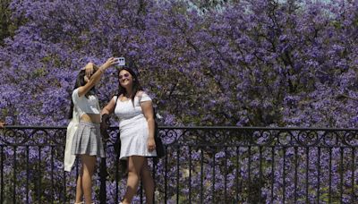 El espectáculo de la primavera en Sevilla en todo su esplendor