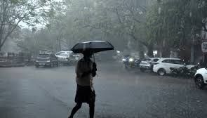 Heavy rains in Nilgiris prompt flood warnings - News Today | First with the news