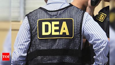 Booze, sex, and corruption: US DEA agents' shocking 'World debauchery tour' exposed, says report - Times of India