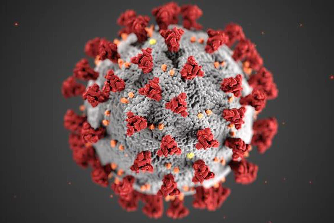 DoH bucks travel curbs amid coronavirus spread - BusinessWorld Online