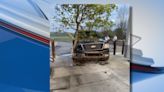 Police: Alleged drunk driver crashes into tree, parks at gas station in Ingham County