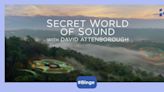 Secret World Of Sound With David Attenborough OTT release date Netflix: When to watch