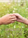 Miracle of Love