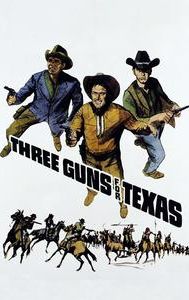 Three Guns for Texas