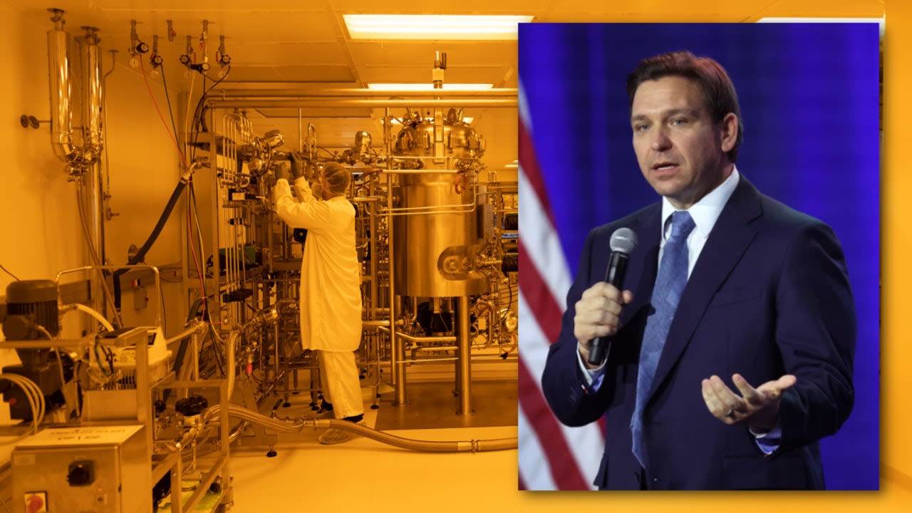 DeSantis: No more lab-grown meat in Florida