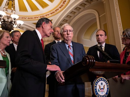Fact check: Trump, other GOP leaders called for McConnell to step down after freezes