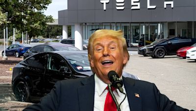 ¿Fábrica de Tesla no llegaría a México por culpa de Donald Trump? Esto dijo Elon Musk