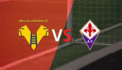 Serie A: Se enfrentan Hellas Verona y Fiorentina por la fecha 35