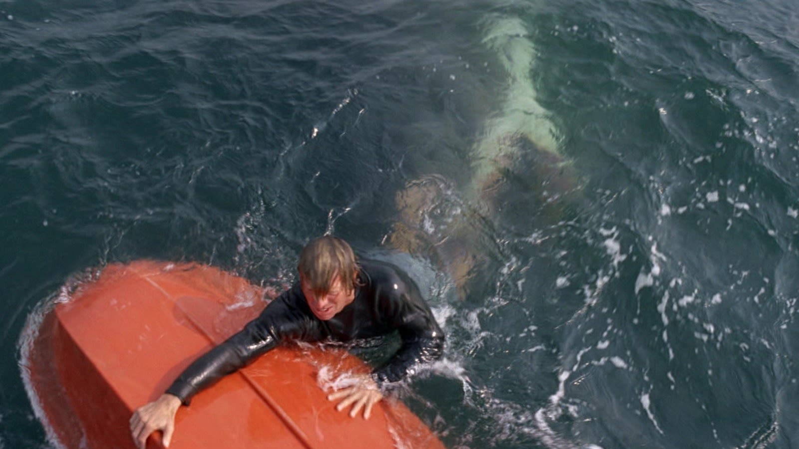 Steven Spielberg Had One Important Request For Jaws (With A Key Exception) - SlashFilm