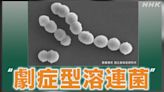 食人菌全日本染疫數破1100人創新高 5孕婦這時間點後感染身亡