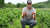 Oklahoma cattle couple expands into strawberry farming