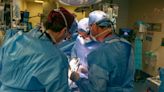 Surgeons transplant world's 1st genetically edited pig kidney into living human