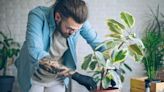 The 3 Houseplant Mistakes Plant Doctors Seriously Want Us To Stop Making