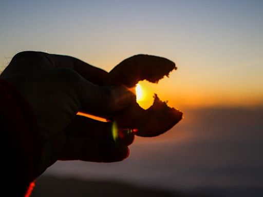 Sunrise train rides to the summit of Pikes Peak returning!