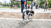 Camden County opens new dog park in Cherry Hill along Cooper River