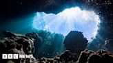 Dark oxygen made by deep sea 'batteries'