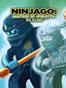 Ninjago: Masters of Spinjitzu: The Island