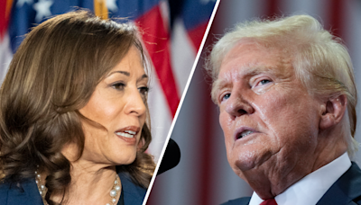 Harris narrows gap with Trump after Biden exit: Poll