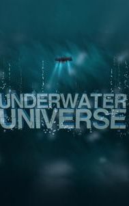 Underwater Universe