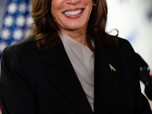 Kamala Harris is preparing to lead Democrats in 2024. There are lessons from her 2020 bid