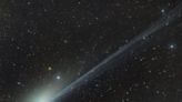 The Green Comet will be closest to earth on Feb 1. Here's the science behind its ghoulish glow.