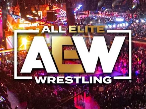 AEW Star Suffering From A Torn Ligament - PWMania - Wrestling News