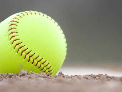 High school sports roundup: Catholic Central softball team keeps good times rolling