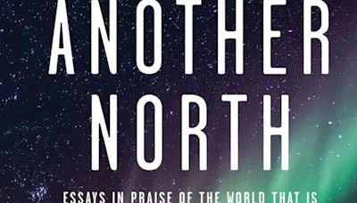 Book review: Intimate and creative, Jennifer Brice’s long-evolving essays present her sharp mind at work