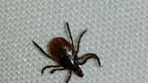 Purdue, Notre Dame and IU join CDC team fighting ticks, mosquitoes