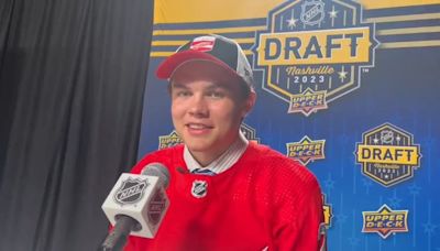 Detroit Red Wings sign top prospect Axel Sandin-Pellikka to entry-level contract