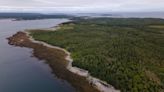 N.B. island once owned by American now preserved forever after acquisition by Nature Trust of New Brunswick