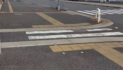 地球有古怪｜「日本最短斑馬線」得2條白線！只有3地方看得到