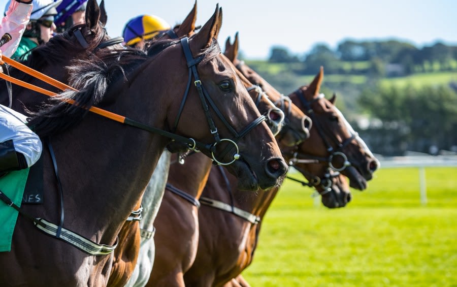 Why can’t New Mexicans bet on the Kentucky Derby?