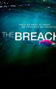 The Breach