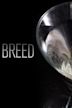 Dying Breed (film)