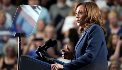 A GOP congressman called Kamala Harris a ‘DEI hire.’ Some caution it’s a sign of what’s to come | CNN Politics