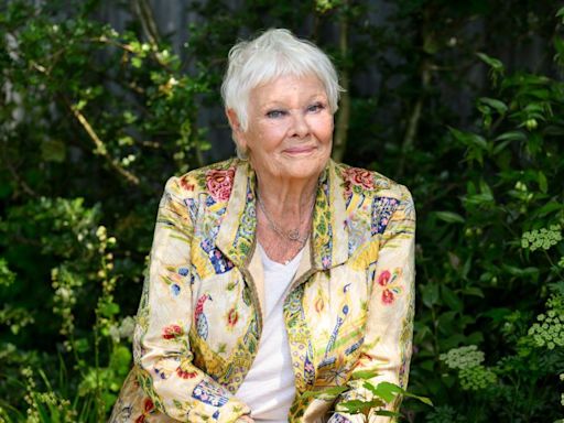 Judi Dench, 89, Might Retire From Acting Amid Health Battle