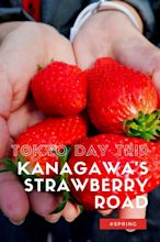 Tokyo Day Trip: Discover Kanagawa's Strawberry Road | Tokyo Weekender