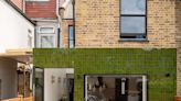 'Extending into the side return has transformed this tired Victorian terrace'