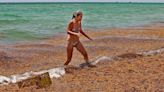 A sargassum invasion is fueling an economic and public health crisis in the Caribbean