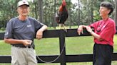 Creator of Gamecocks' 'Sir Big Spur' live mascot program dies