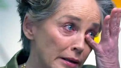 Sharon Stone habla sobre sus problemas mentales: "todo el mundo lucha contra sus demonios"