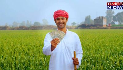 PM Kisan Scheme: 18th Instalment Not Credited? Follow These Steps to Claim Rs 2,000 Now