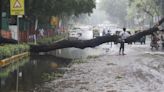 As rain brings Delhi to its knees, L-G cancels leaves of senior government officers, bars holidays for 2 months