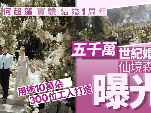 何超蓮竇驍五千萬婚禮佈置曝光 逾10萬朵花300位工人打造如仙境