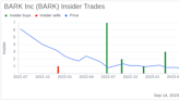 Director David Kamenetzky Sells 165,933 Shares of BARK Inc