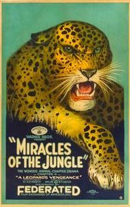 Miracles of the Jungle