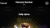 倉鼠格鬥遊戲 Hamster Kombat 全亞洲CP值最強升級攻略