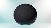 Shoppers can get the Echo Dot for just £9.46 with this hack this Prime Day